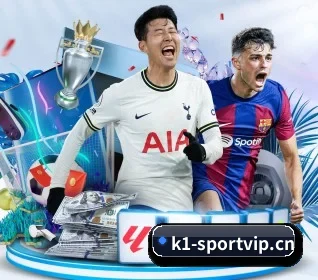 K1体育sportvip APP 界面